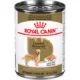 Product Royal Canin Breed Health Nutrition Golden Retriever Canned Dog Food - Chicken & Pork