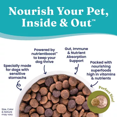 Product Solid Gold Nutrient Boost Buck Wild Adult Dog Food - Sensitive Stomach, Venison