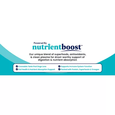 Product Solid Gold Nutrient Boost Wee Bit Toy & Small Breed Adult Dog Food - Bison