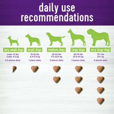 Product Wellness® Belly Digestive Health Support Soft Chews