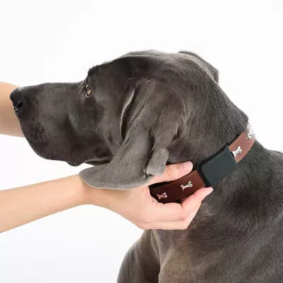 Product Pebblebee® Tracker Tag