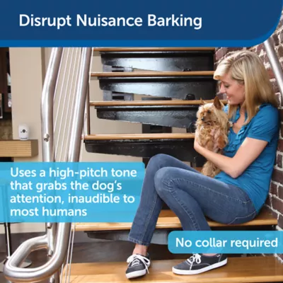 Product PetSafe® Single Room Indoor Dog Bark Control - Ultrasonic - No Collar Needed - Up to 25 ft