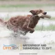 Product SportDOG® Brand YardTrainer 100S Remote Trainer - For Stubborn Dogs - Tone/Vibrate/Static