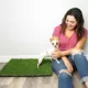 Product Gotta Go Grass The Natural Relief Dog Potty Pads with Tray, 16-in x 24-in