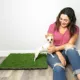 Product Gotta Go Grass The Natural Relief Dog Potty Pads, 16-in x 24-in