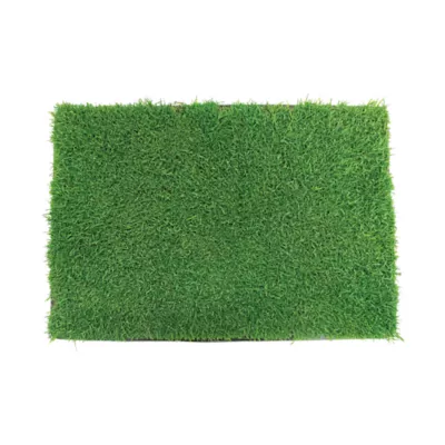 Product Gotta Go Grass The Natural Relief Dog Potty Pads with Tray, 16-in x 24-in
