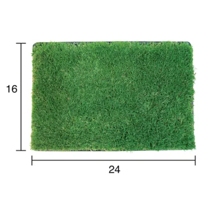 Product Gotta Go Grass The Natural Relief Dog Potty Pads with Tray, 16-in x 24-in