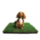 Product Gotta Go Grass The Natural Relief Dog Potty Pads with Tray, 16-in x 24-in