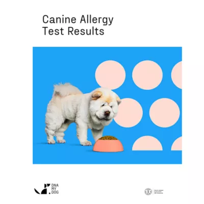 Product DNA My Dog Allergy Test