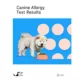 Product DNA My Dog Allergy Test
