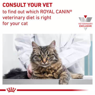 Product Royal Canin® Veterinary Diet Satiety Support Weight Management Wet Cat Food - Cuts in Gravy, 3oz