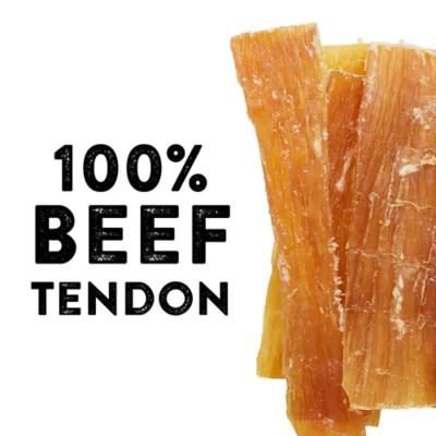 Product Dentley's Natural Chews Beef Tendon Strips 6 Inch 8 OZ