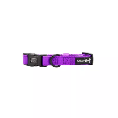 Product Sassy Woof Neon Purple Dog Collar