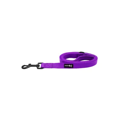 Product Sassy Woof Neon Purple Dog Leash: 5-ft long