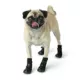 Product GF PET® Elasto-fit® Dog Boots