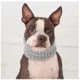Product GF PET® Chalet Tube Dog Scarf