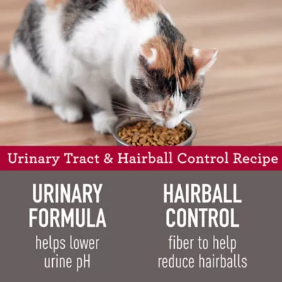 Product Simply Nourish® Urinary Tract & Hairball Control Adult Dry Cat Food - Natural, Chicken