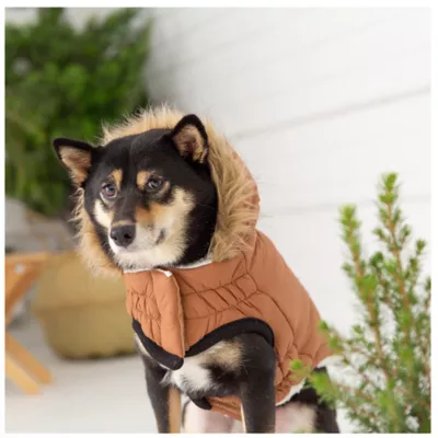 Product GF PET® Elasto-fit® Urban Dog Parka