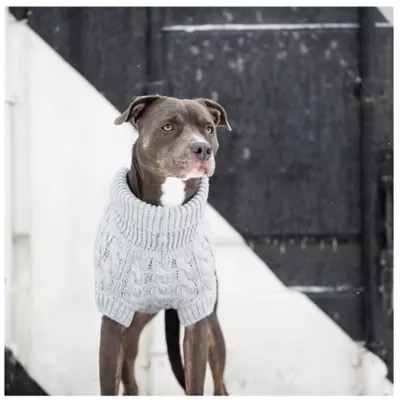 Product GF PET® Chalet Dog Sweater