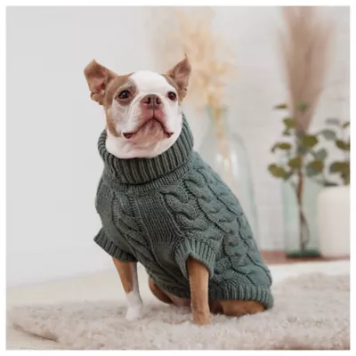 Product GF PET® Chalet Dog Sweater