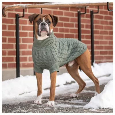 Product GF PET® Chalet Dog Sweater