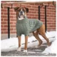 Product GF PET® Chalet Dog Sweater
