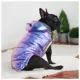 Product GF PET® Elasto-fit® Iridescent Recycled Dog Parka