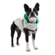 Product GF PET® Elasto-fit® Neon Reversible Dog Raincoat