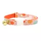 Product Made By Cleo® Gourd Times Orange Fall Pumpkin Breakaway Cat Collar
