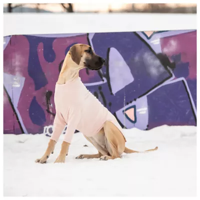 Product GF PET® Gondola Base Layer for Dogs