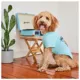 Product GF PET® Love Graphic Dog Tee
