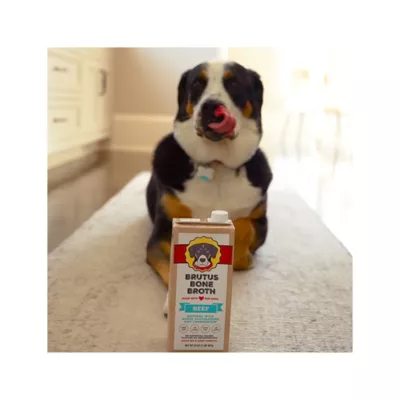 Product Brutus Bone Broth All Life Stage Dog Food Topper - 32 Oz., Beef