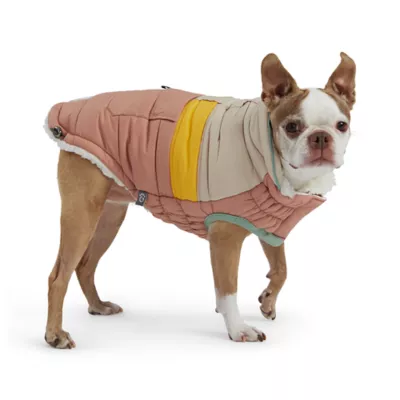 Product GF PET® Elasto-fit® Camplife Dog Puffer