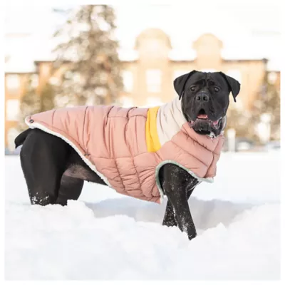 Product GF PET® Elasto-fit® Camplife Dog Puffer