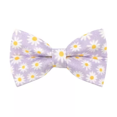 Product Made By Cleo® Daisies Purple Floral Cat Bow Tie