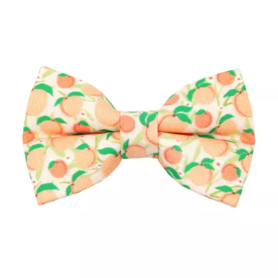 Product Made By Cleo® Just Peachy Summer Peach Cat Bow Tie