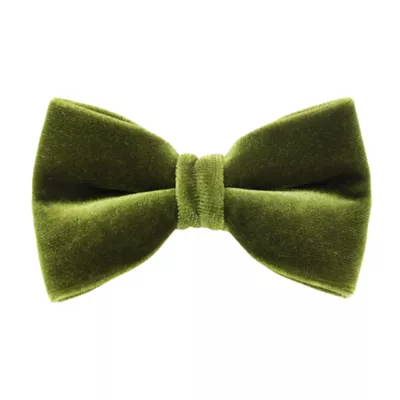 Product Made By Cleo® Velvet Leaf Green Cat Bow Tie