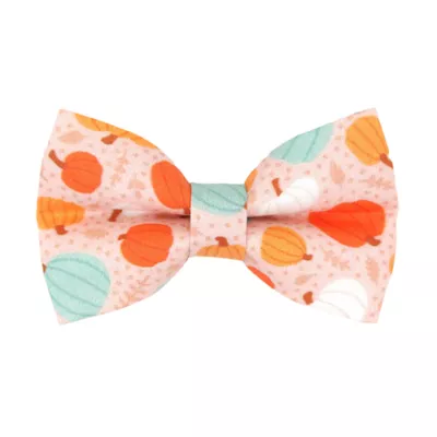 Product Made By Cleo® Gourd Times Orange Fall Pumpkin Cat Bow Tie