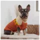 Product GF PET® Fireside Dog Sweater