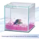 Product Aqueon® Betta Beads