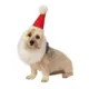 Product Rubie's Pet Shop Holiday Santa Hat With Attached Beard Pet Accessory