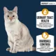 Product Authority Urinary Tract Heath & Hairball Control Adult Cat Food - Pate, 3 OZ