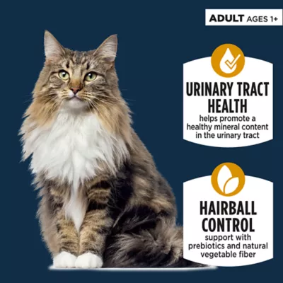 Product Authority Urinary Tract Health & Hairball Control Adult Cat Food - Chicken