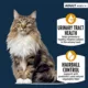 Product Authority Urinary Tract Health & Hairball Control Adult Cat Food - Chicken