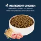 Product Authority Urinary Tract Health & Hairball Control Adult Cat Food - Chicken