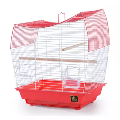 Product Prevue Pet Products South Beach Dome Top Bird Cage Coral