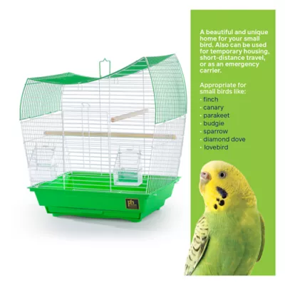 Product Prevue Pet Products South Beach Wave Top Bird Cage Lime Green
