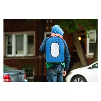 Product Prevue Pet Products Backpack Bird Travel Carrier