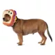 Product Rubie's Pet Shop Halloween Kidrobot Yummy World PB&J Face Headpiece Pet Accessory