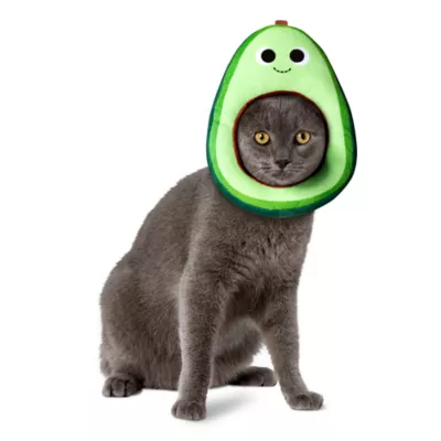 Product Rubie's Pet Shop Halloween Kidrobot Yummy World Avocado Headpiece Pet Accessory
